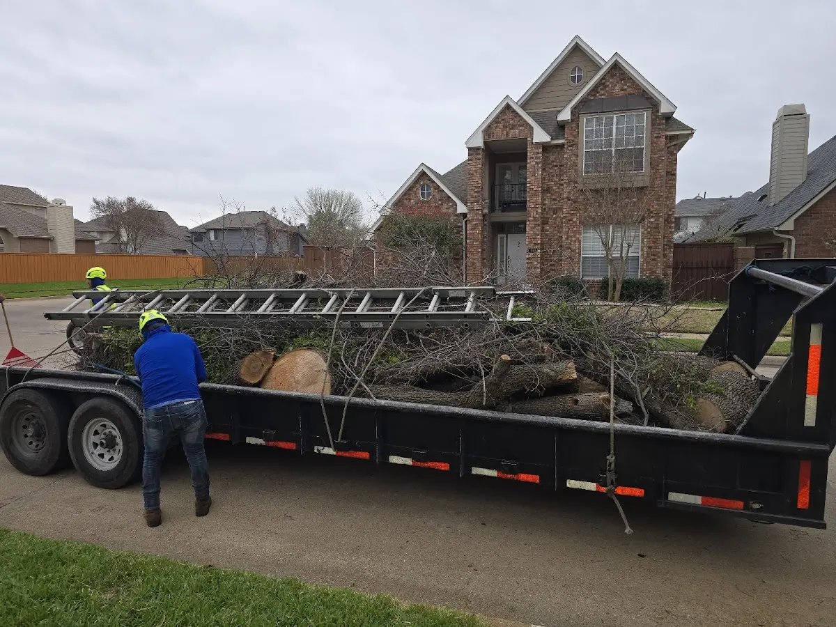 Expert Tree Removal with proper safety equipment in Enterprise
